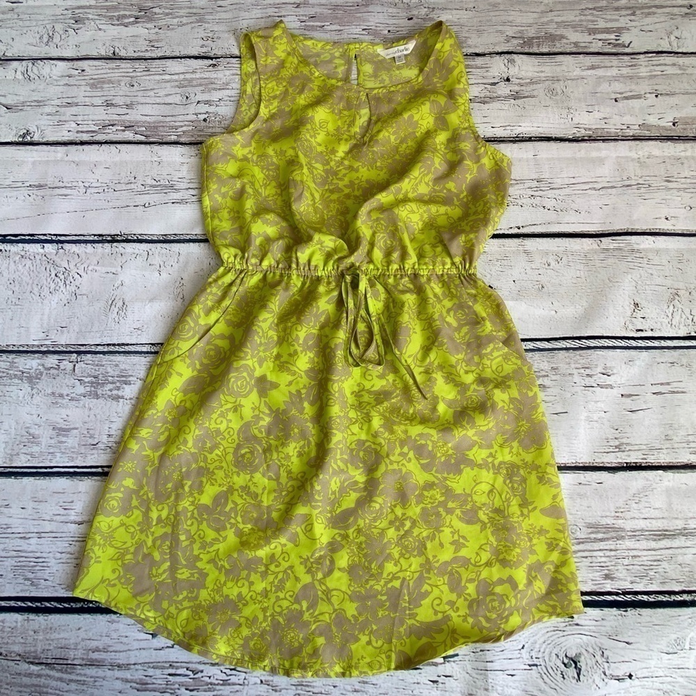 Green and Tan dress Charming Charlie